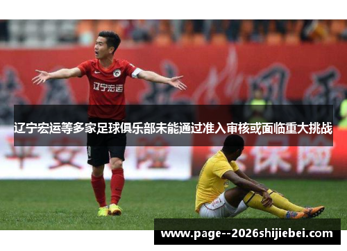 辽宁宏运等多家足球俱乐部未能通过准入审核或面临重大挑战 辽宁宏运等多家足球俱乐部未能通过准入审核或面临重大挑战