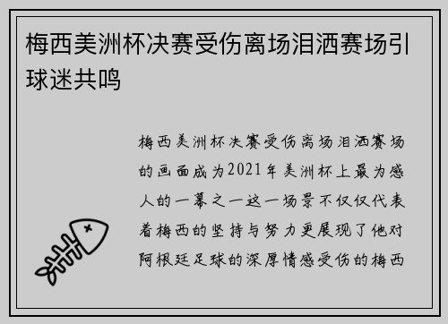 梅西美洲杯决赛受伤离场泪洒赛场引球迷共鸣 梅西美洲杯决赛受伤离场泪洒赛场引球迷共鸣